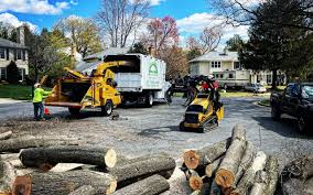 Best Tree Mulching Services  in USA